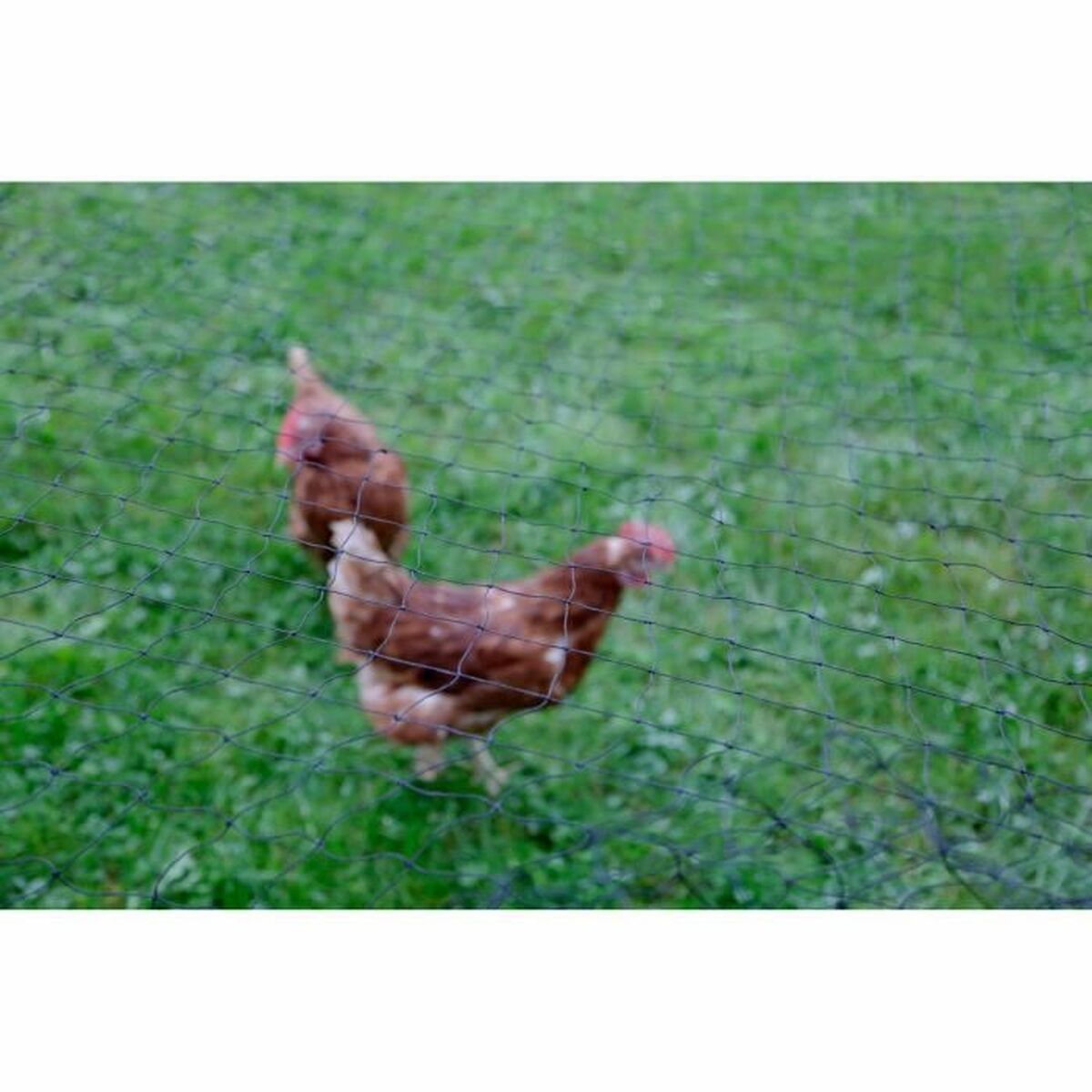 V9HF5EF3303F9EBEBD34F6EF81EB123B6D0R4014814P2