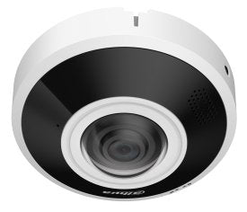 Dahua IPC-EBW5641-AS Fisheye H265 6M Dn Wdr IR15M 1.68MM Audio SD IP67 IK10 PoE Mic/Speaker e/S Ai