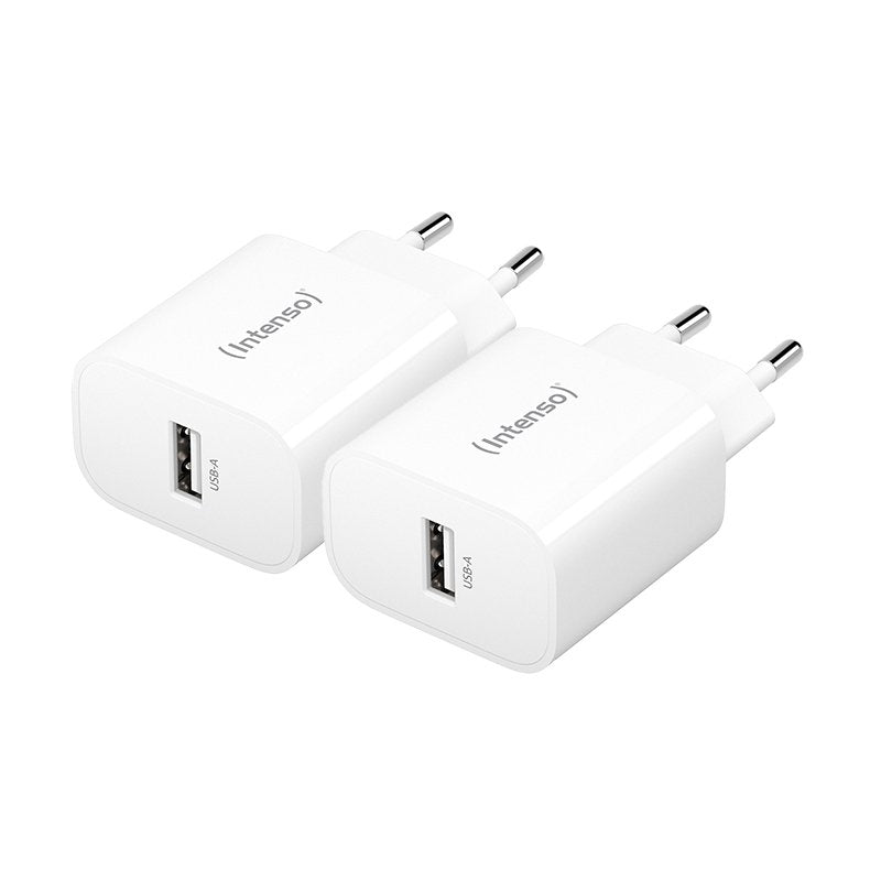 Intenso 7800522 Adapter And Inversor Power Indoor