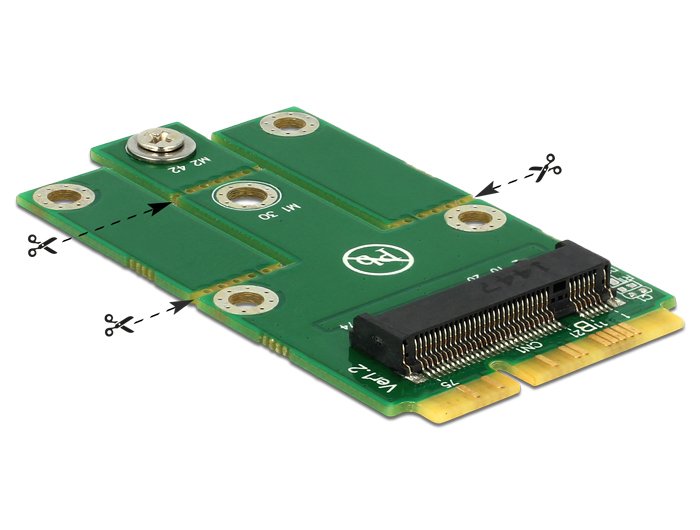 Delock Adapter Minipcie M.2 Ngff