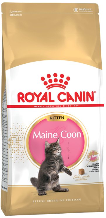 Royal Canin Maine Coon Kitten Gatos 2KG