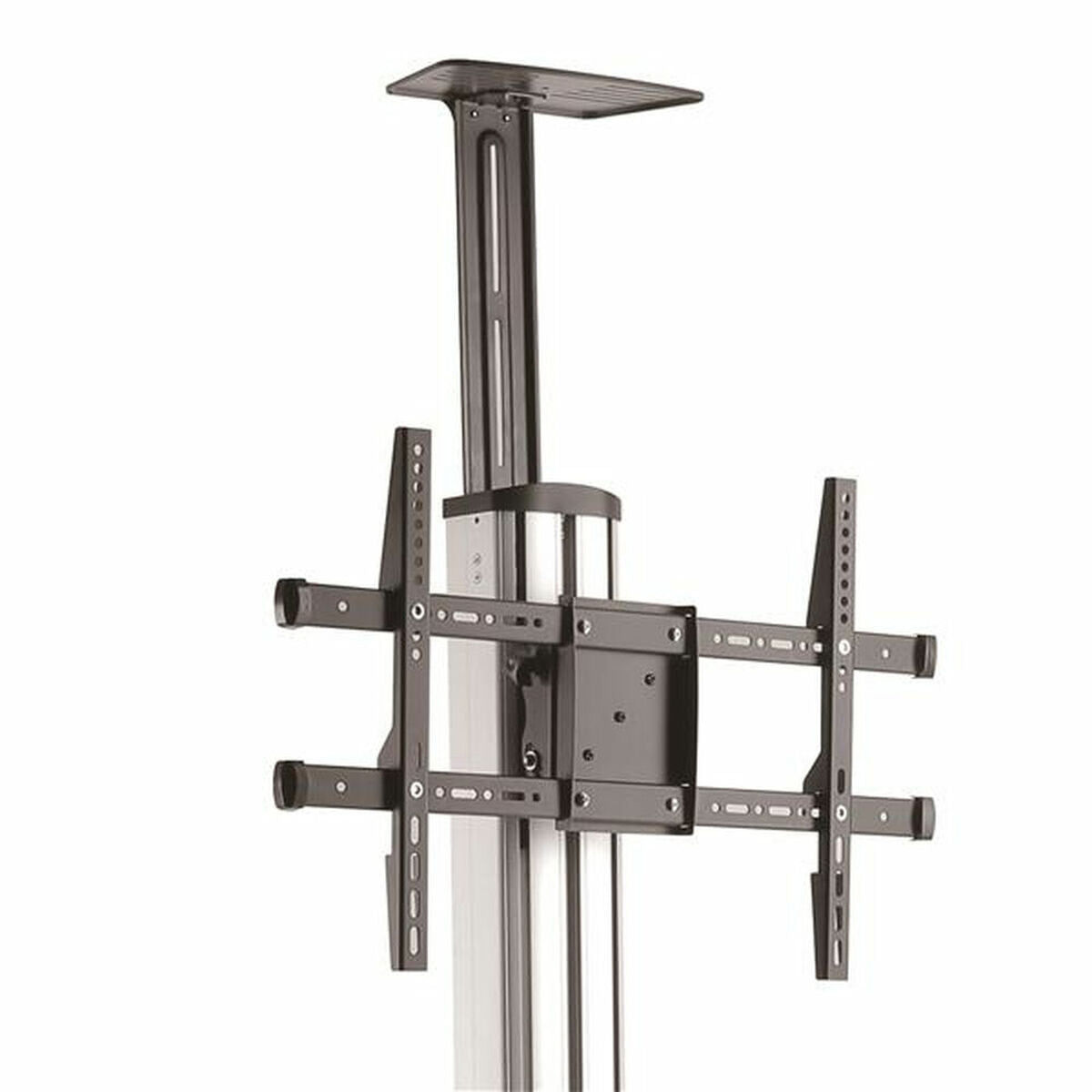 V10H6DB474305C4E3F0541A02FF4BF0BFB17R3685502P2