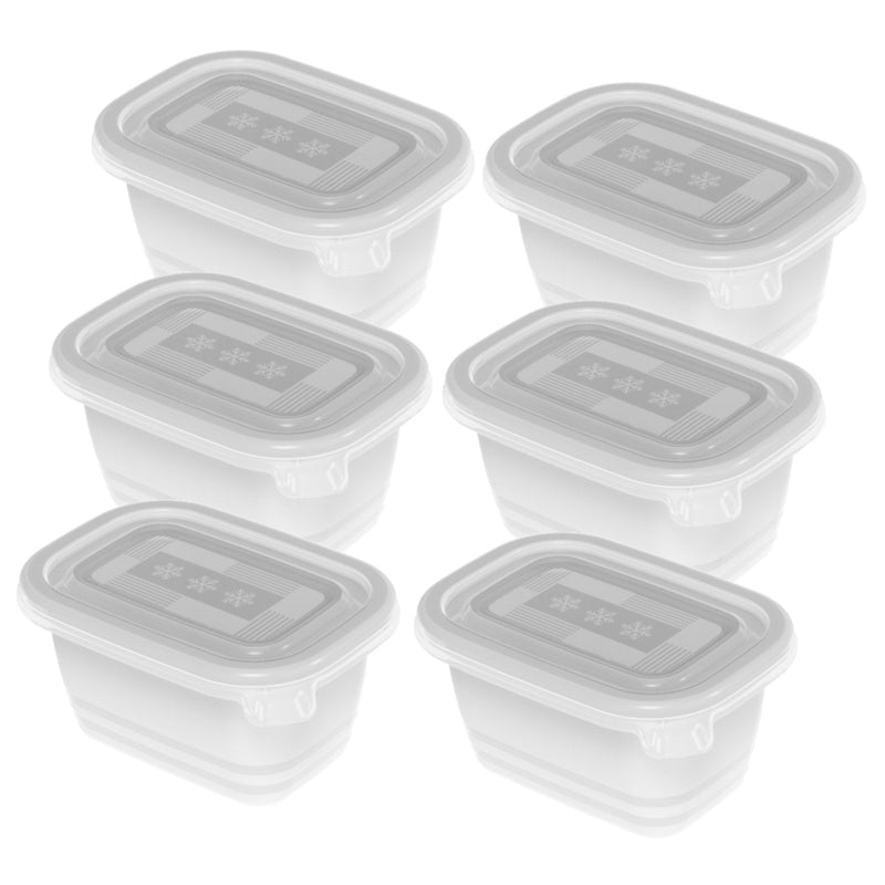 Rotho Freeze Recipiente Congelar - 6X250ML