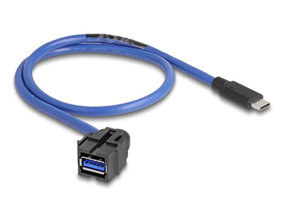 Delock 88156MÓDULO Keystone USB 5Gbps a Female a USB Type-c™ Male With Cable — image 1