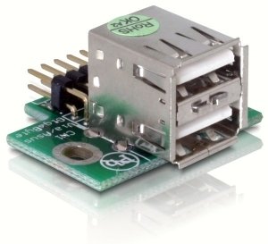 Delock USB Pinheader Male 2x USB 2.0 Female