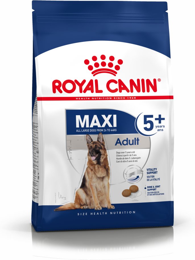 Royal Canin Pienso Shn Maxi Adult (15KG )