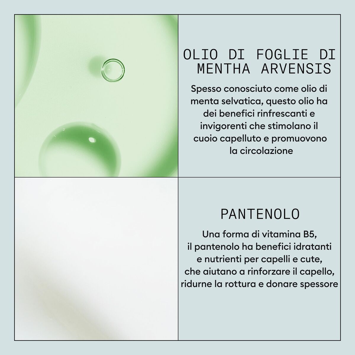 V4H8FA5F48E80A3CF52370F631C9C29DDDFR7512379P6