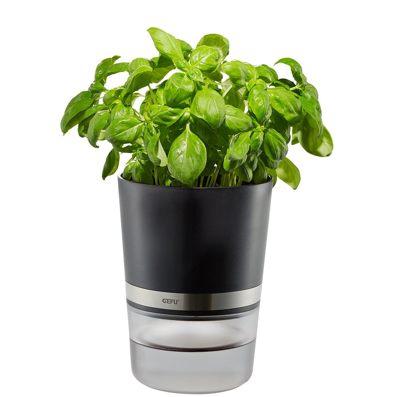 Gefu Botanico Plant Pot Hierbas Aromáticas Independiente Plastic Steel Inoxidable Black