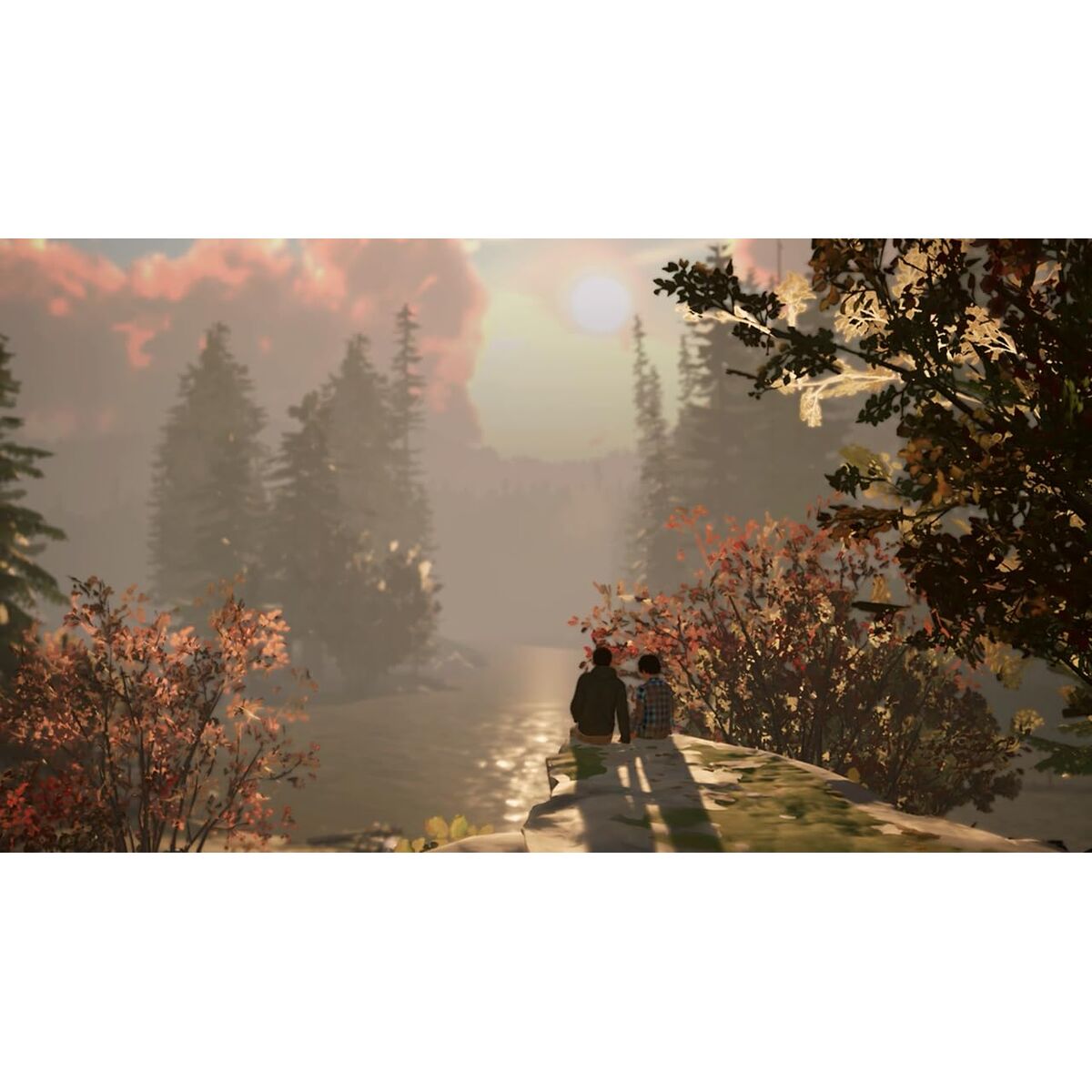 V4HD116441E8AEC8DAD0662D2D0A4282DAER7379640P6