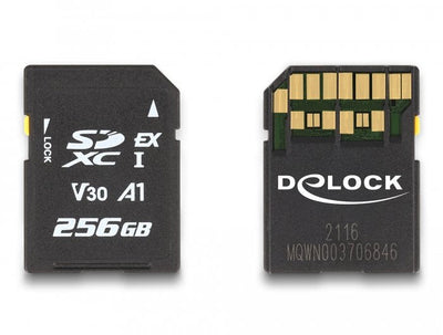 Delock Card Express Speicherkarte 256GB — image 1
