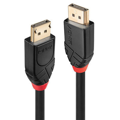 Lindy 41078 Cable DisplayPort 10M Black — image 1