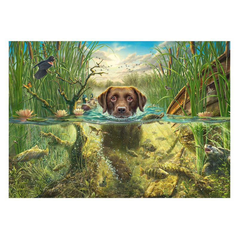 Puzzle 1000 Pieces Mark Fredrickson: Dog Love - Labrador Brown Water Fría 58572