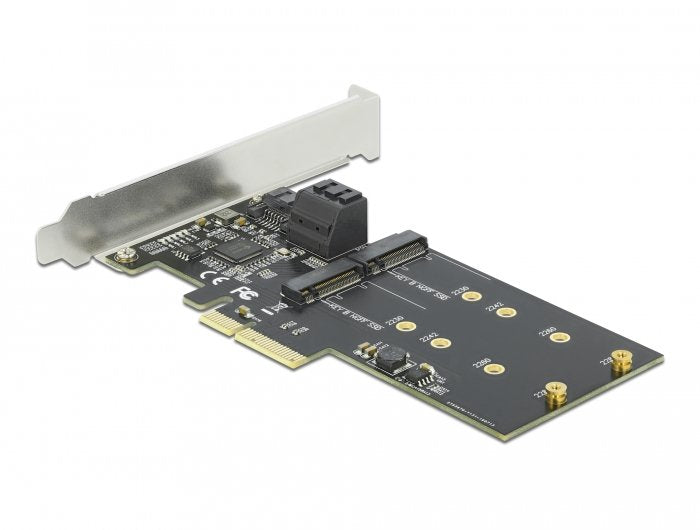 Delock Card Pci Express X4 3 Ports SATA + 2M.2 - Perfil Low