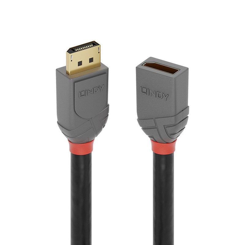 Lindy DisplayPort 1.4 Cable Extensión 1M, Line Anthra