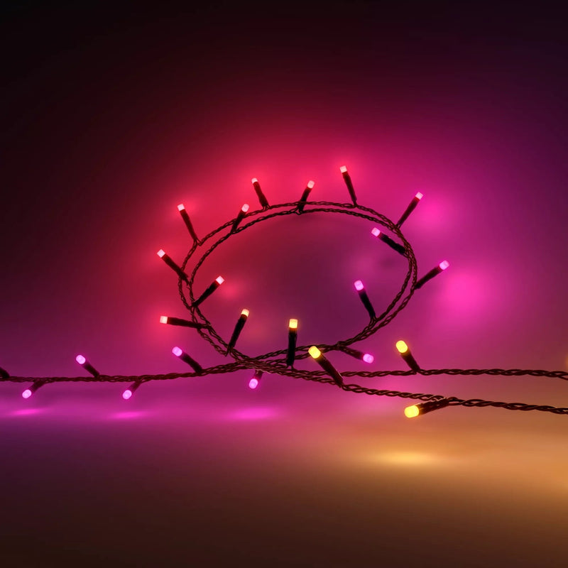 Philips Hue - Garland Festavia, Light White And Colours Adjustable 500 Micro Leds 40M, Resistant Water