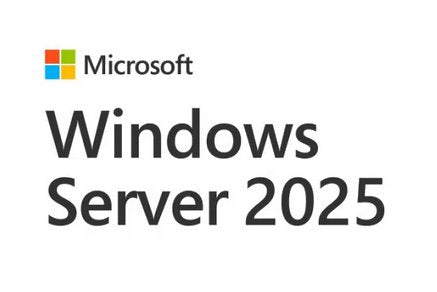 Ms Oem Windows Server Cal 2025 1PK Dsp Oei 5 Clt Device Cal (pl)