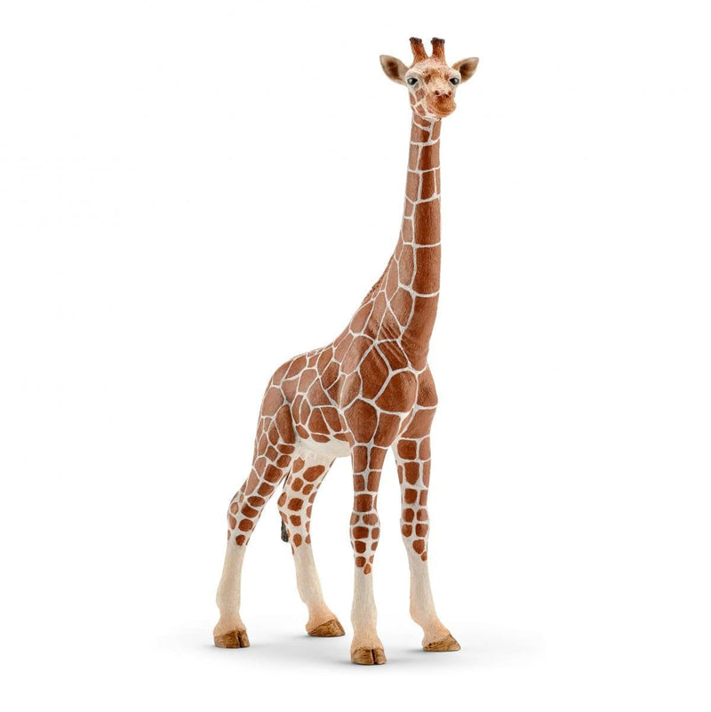 Schleich Vida Salvaje 14750 Figure Toy Children