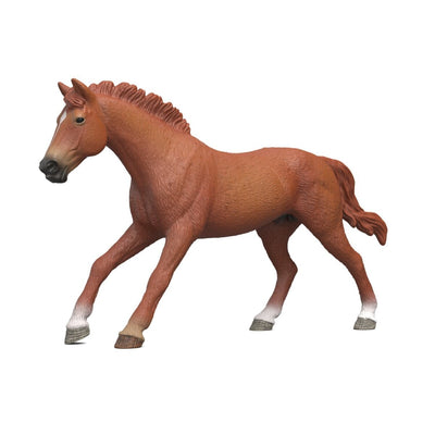 Schleich Horse Club Englisches Vollblut Hengst 14915 — image 1