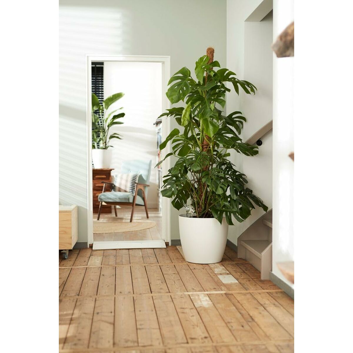 V4H6DD600E170C07D654FBC922E69F1E989R6746317P8