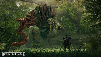 Set Bound By Flame PC — image 1