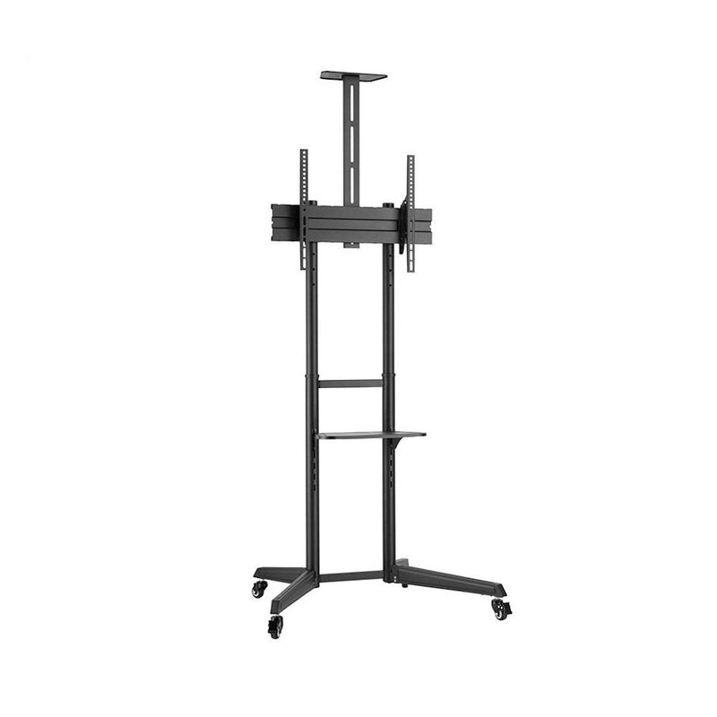 Ewent Stand Floor EW1539 Up To 70 Max. 50KG