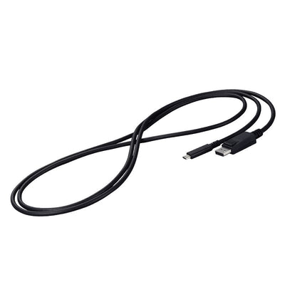 Eizo USB Cable -c - DisplayPort Signal Cable 2M Black — image 1