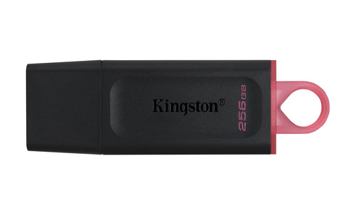 Kingston USB Flash Drive 256GB Datatraveler Exodia USB 3.2 Gen 1 Dtx/256GB — image 1
