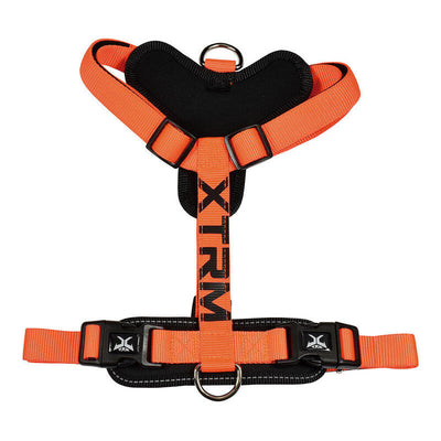 Arnés X-trm Cronos Neon Flash Orange T-m 20MM X 46-75CM — image 1