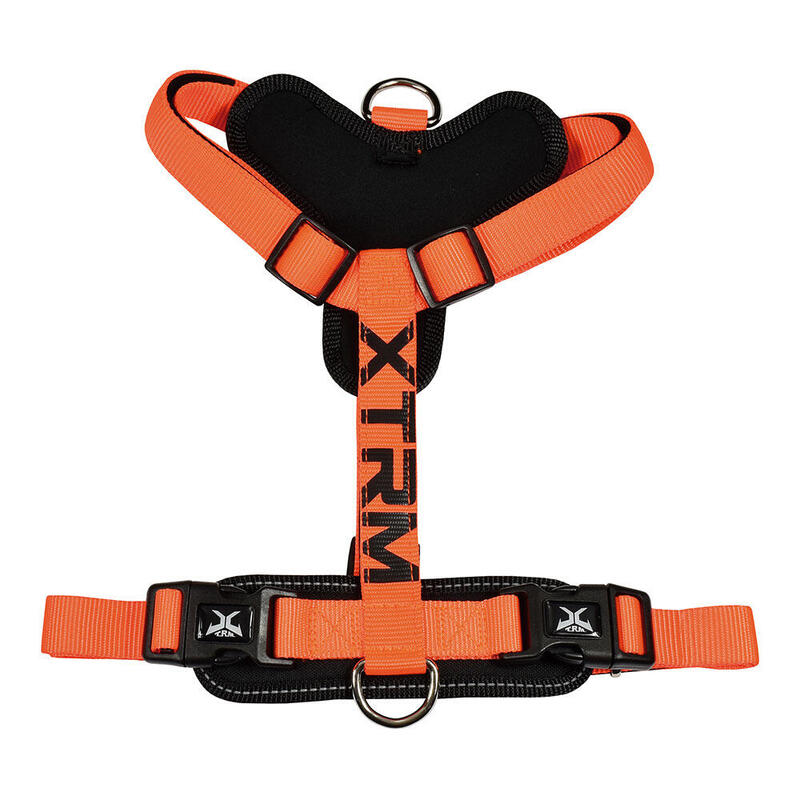 Arnés X-trm Cronos Neon Flash Orange T-m 20MM X 46-75CM