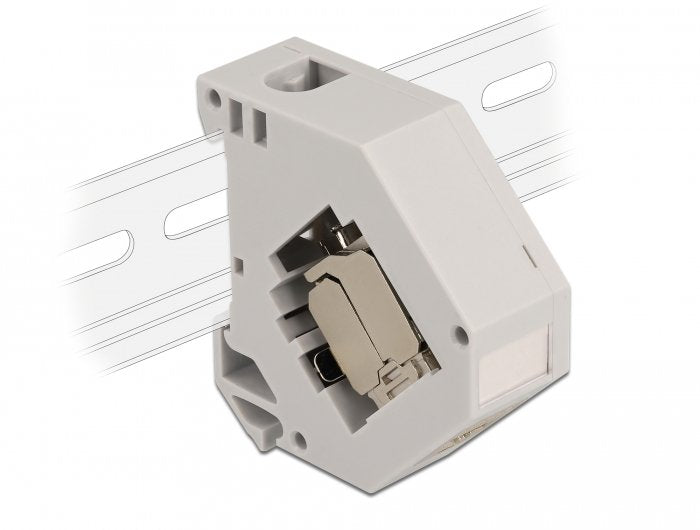 Delock 86014 Adapter Carril Din With Módulo Keystone RJ45 Female CAT.6A Lsa
