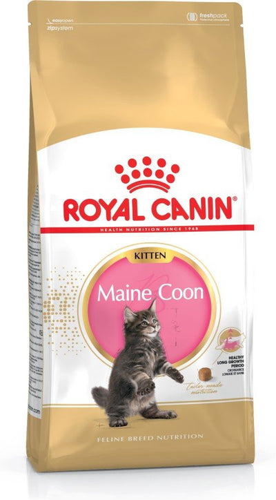 Royal Canin Maine Coon Kitten Alimento Seco Gatos Gatito Aves, Arroz 4KG — image 1