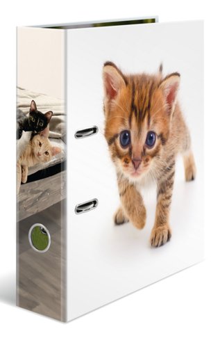 Herma Ring Binder A4 Cartón Katze
