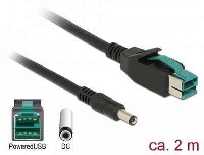 Delock 85498 Cable Poweredusb Male 12V DC 5,5 X 2,1MM, Male 2M Printers And Terminals Point Of Sale — image 1