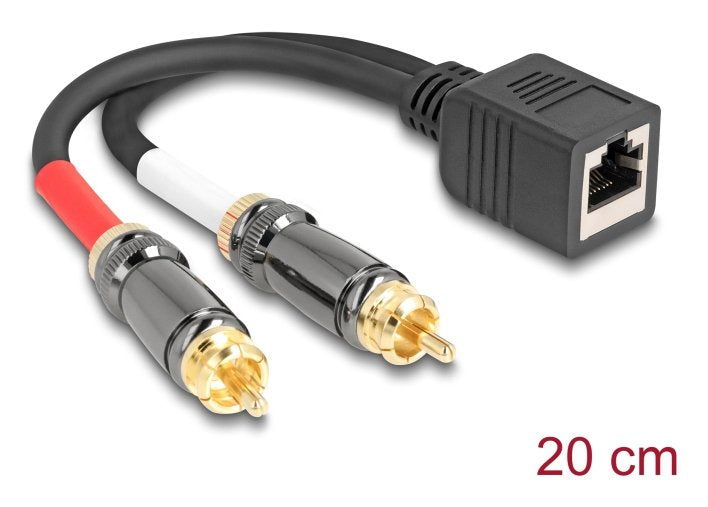 Delock Cable Adapter RJ45 Connector Female a 2 X Cinch Connector Male Black 20CM
