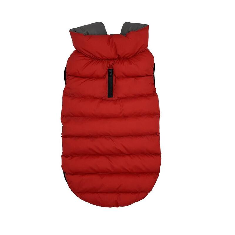 Pchelka Flora Kol.rojo-gris Roz.xs
