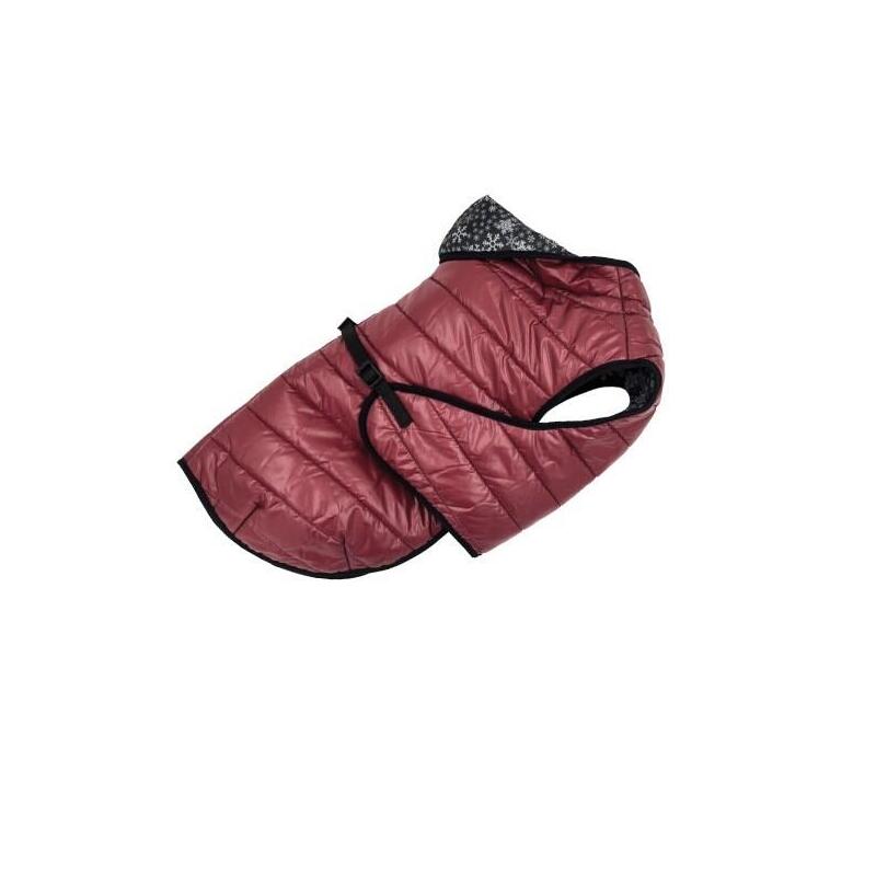 Pchelka Maurycy Kol.fiolet ROZ.50