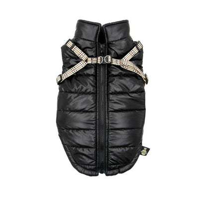 Pchelka Tobiasz Black - Ropa Perros - Size S — image 1