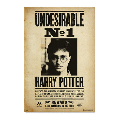 Poster Indeseable Numero 1 Harry Potter — image 1