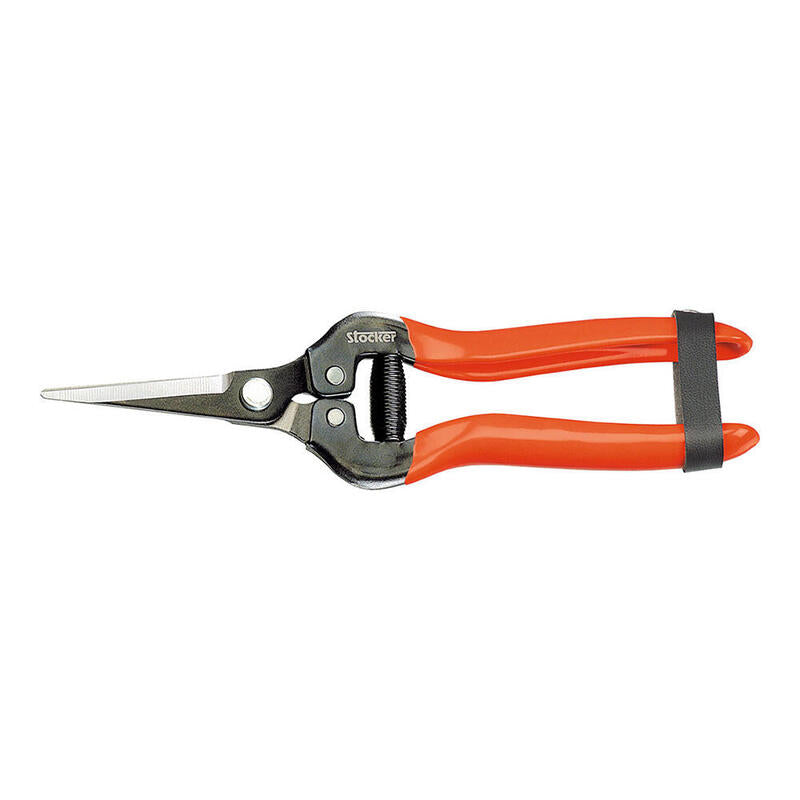 Tijera Especial Vendimia Punta 19. Longitud 19CM Stocker